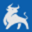 Raging Bull Logo